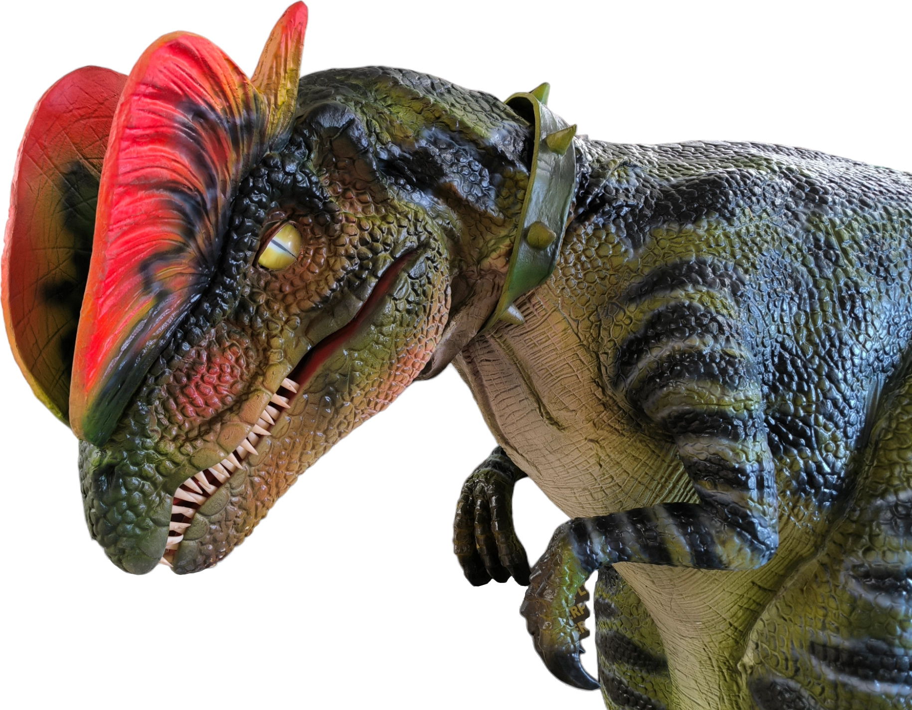 Dinosaurus